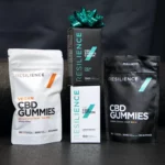 Los 10 Mejores Regalos Navideños para Fanáticos del Gimnasio